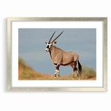 Majestic Antelope in the Wild – Graceful African Wildlife Canvas Art
