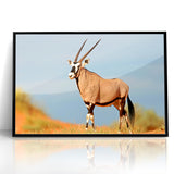 Majestic Antelope in the Wild – Graceful African Wildlife Canvas Art