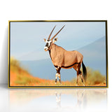 Majestic Antelope in the Wild – Graceful African Wildlife Canvas Art