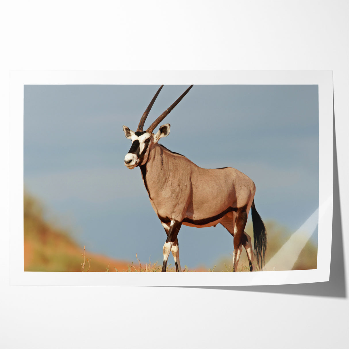 Majestic Antelope in the Wild – Graceful African Wildlife Canvas Art