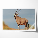 Majestic Antelope in the Wild – Graceful African Wildlife Canvas Art