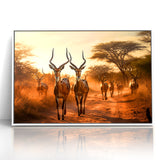 Graceful Antelope Herd at Sunset – Stunning Wildlife Canvas Art