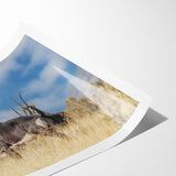 Bold Antelope Herd in the Grasslands – Striking Wildlife Canvas Art