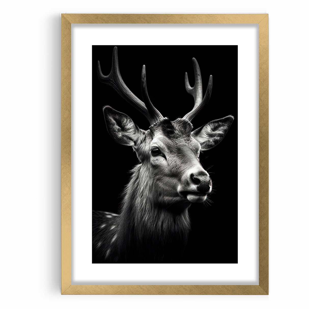 Majestic Antelope Portrait in Black and White – Stunning Canvas Art