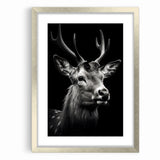 Majestic Antelope Portrait in Black and White – Stunning Canvas Art