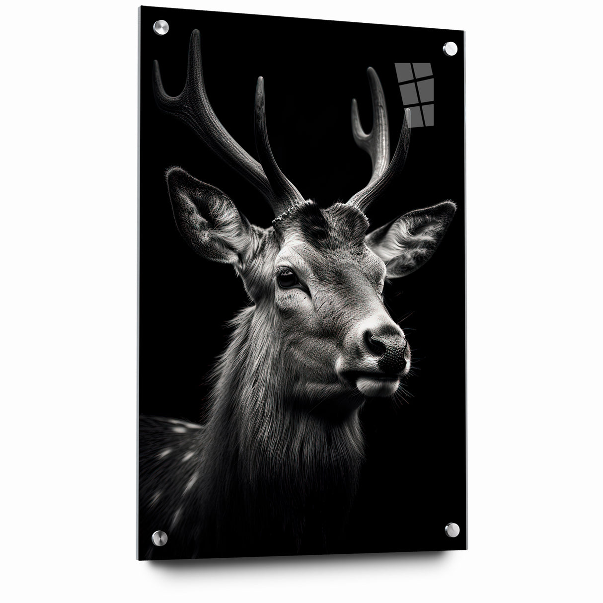 Majestic Antelope Portrait in Black and White – Stunning Canvas Art