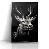 Majestic Antelope Portrait in Black and White – Stunning Canvas Art