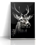 Majestic Antelope Portrait in Black and White – Stunning Canvas Art
