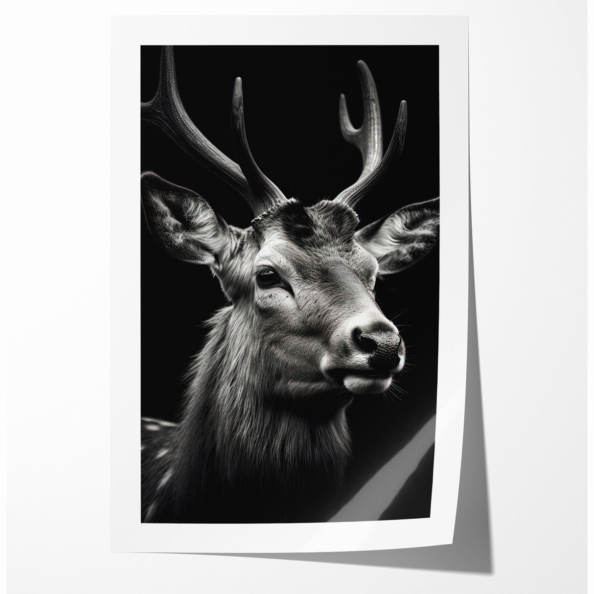 Majestic Antelope Portrait in Black and White – Stunning Canvas Art