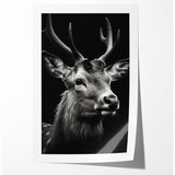 Majestic Antelope Portrait in Black and White – Stunning Canvas Art