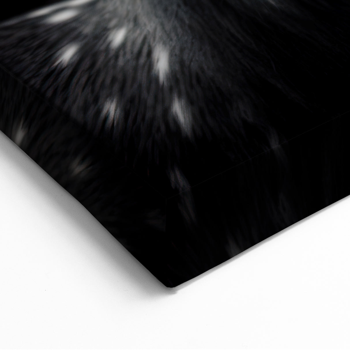 Majestic Antelope Portrait in Black and White – Stunning Canvas Art