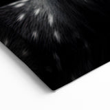 Majestic Antelope Portrait in Black and White – Stunning Canvas Art