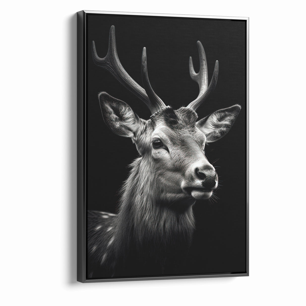 Majestic Antelope Portrait in Black and White – Stunning Canvas Art