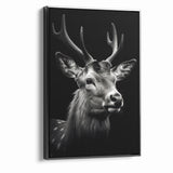 Majestic Antelope Portrait in Black and White – Stunning Canvas Art