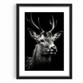 Majestic Antelope Portrait in Black and White – Stunning Canvas Art