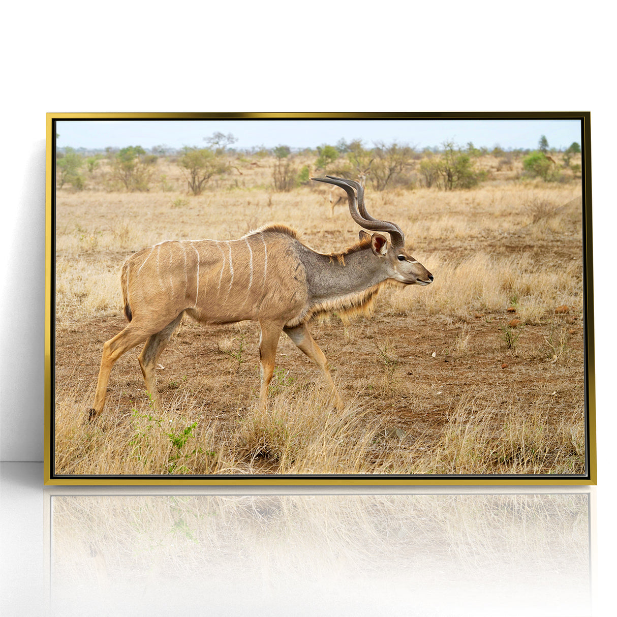 Graceful Antelope in the Savannah – Captivating Wildlife Canvas Art