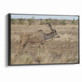 Graceful Antelope in the Savannah – Captivating Wildlife Canvas Art