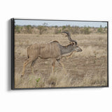 Graceful Antelope in the Savannah – Captivating Wildlife Canvas Art
