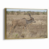 Graceful Antelope in the Savannah – Captivating Wildlife Canvas Art