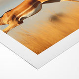 Leaping Antelope in the Wild – Exquisite Wildlife Canvas Art