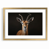 Regal Antelope Portrait – Elegant Wildlife Canvas Art