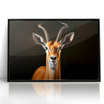 Regal Antelope Portrait – Elegant Wildlife Canvas Art