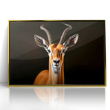 Regal Antelope Portrait – Elegant Wildlife Canvas Art