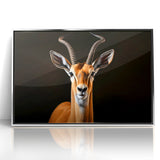 Regal Antelope Portrait – Elegant Wildlife Canvas Art