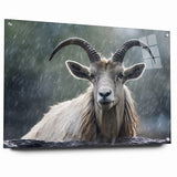 Serene Antelope in the Rain – Captivating Wildlife Canvas Art