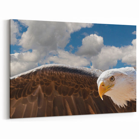 Powerful Bald Eagle Wall Art - Soaring Birds of Prey Wildlife Print