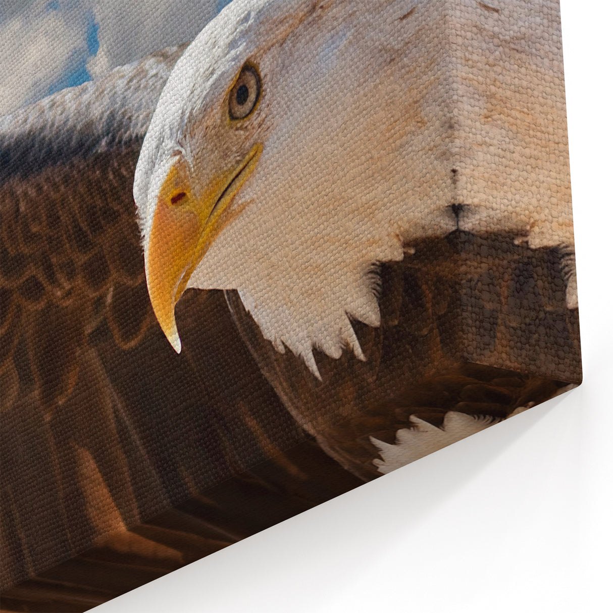 Powerful Bald Eagle Wall Art - Soaring Birds of Prey Wildlife Print