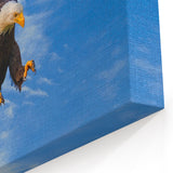 Dynamic Bald Eagle Wall Art - Soaring Birds of Prey Wildlife Print