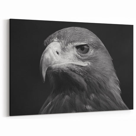 Regal Eagle Portrait Wall Art - Black and White Birds of Prey Print