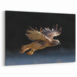 Graceful Hawk Wall Art - Majestic Birds of Prey in Flight Print
