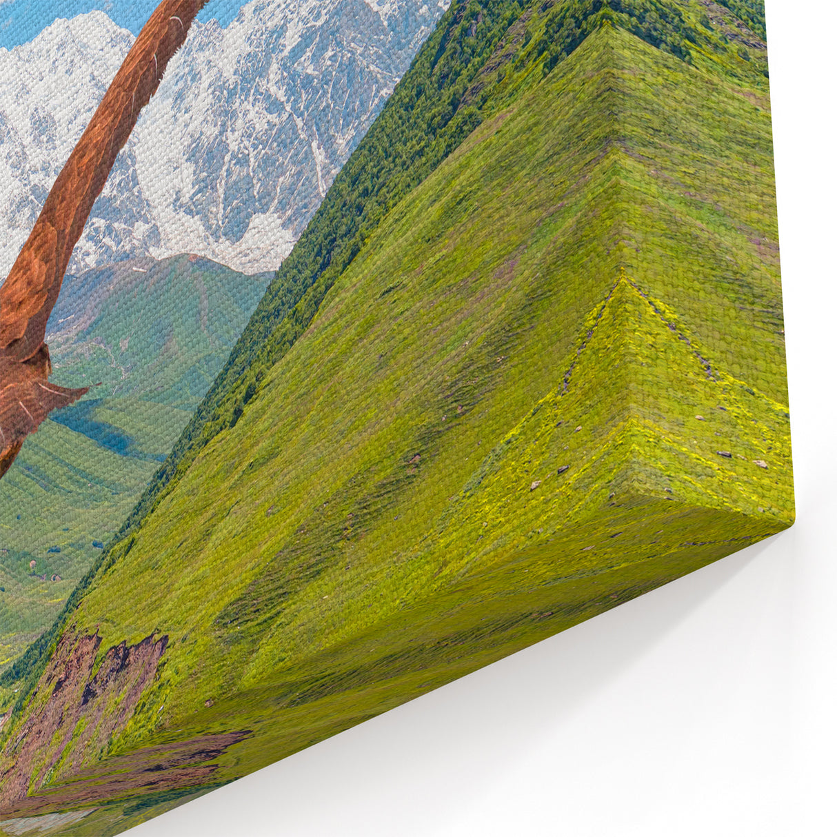Expansive Hawk Over Mountains - Vibrant Birds of Prey Landscape Print