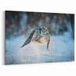 Snowy Owl in Flight - Striking Winter Birds of Prey Wildlife Print