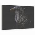 Dark Majesty - Dramatic Eagle Portrait Birds of Prey Art Print
