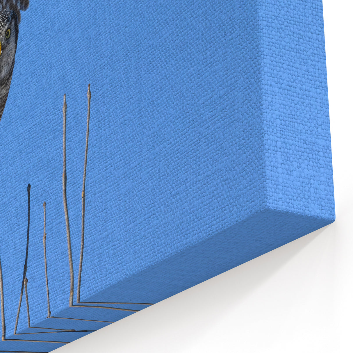 Dynamic Owl in Flight - Striking Birds of Prey Wildlife Art Print