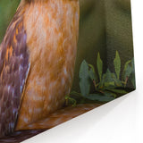 Elegant Birds of Prey Wall Art - Captivating Wildlife Hawk Photography