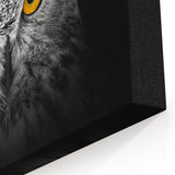 Stunning Owl Wall Art - Majestic Birds of Prey Photography Print