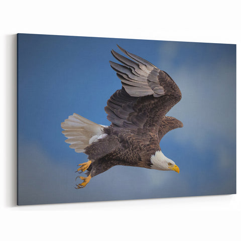 Majestic Eagle Wall Art - Dynamic Birds of Prey in Flight Canvas Print