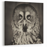 Striking Owl Wall Art - Vintage Monochrome Birds of Prey Canvas Print