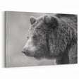 Majestic Black Bear Photography – Graceful Wildlife Bear Wall Art Print