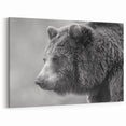 Majestic Black Bear Photography – Graceful Wildlife Bear Wall Art Print