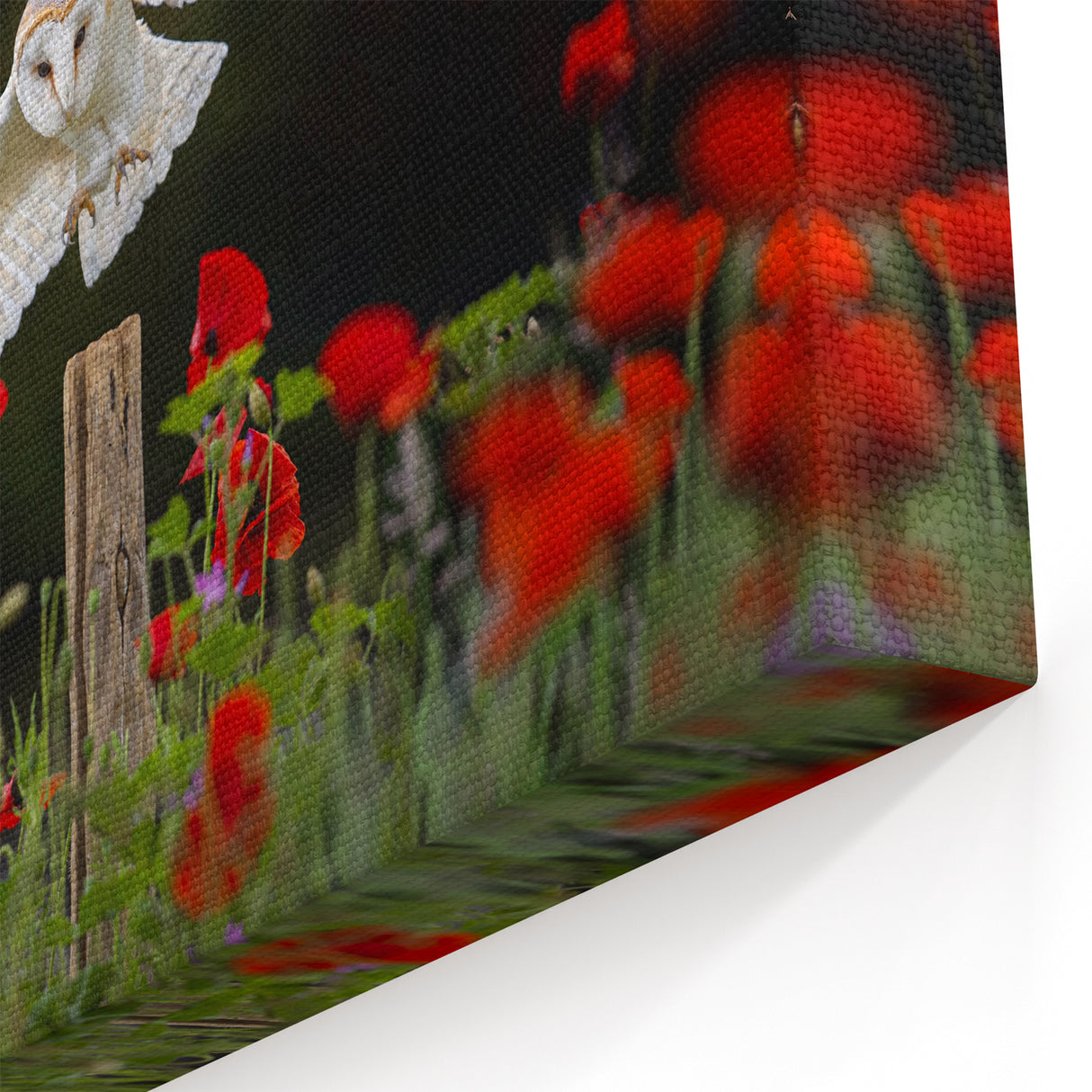 Elegant Owl Wall Art - Stunning Birds of Prey in Blooming Garden Canvas