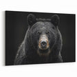 Intense Black Bear Portrait – Majestic Wildlife Wall Art Print