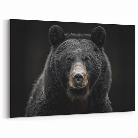 Intense Black Bear Portrait – Majestic Wildlife Wall Art Print
