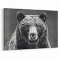 Majestic Black Bear Portrait – Captivating Wildlife Wall Art Print