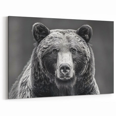 Majestic Black Bear Portrait – Captivating Wildlife Wall Art Print
