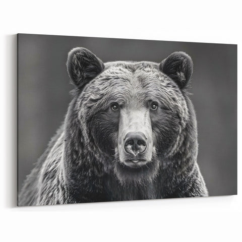 Majestic Black Bear Portrait – Captivating Wildlife Wall Art Print